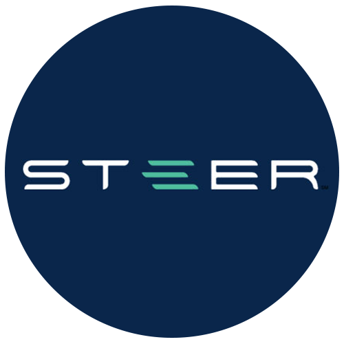 Steer Icon